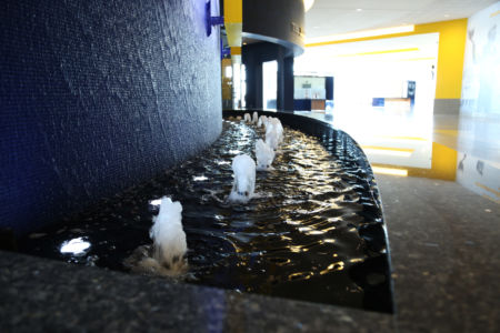 Bubbler Jets Reflection Pool; University Of Michigan Crisler Center, Ann Arbor, Mi