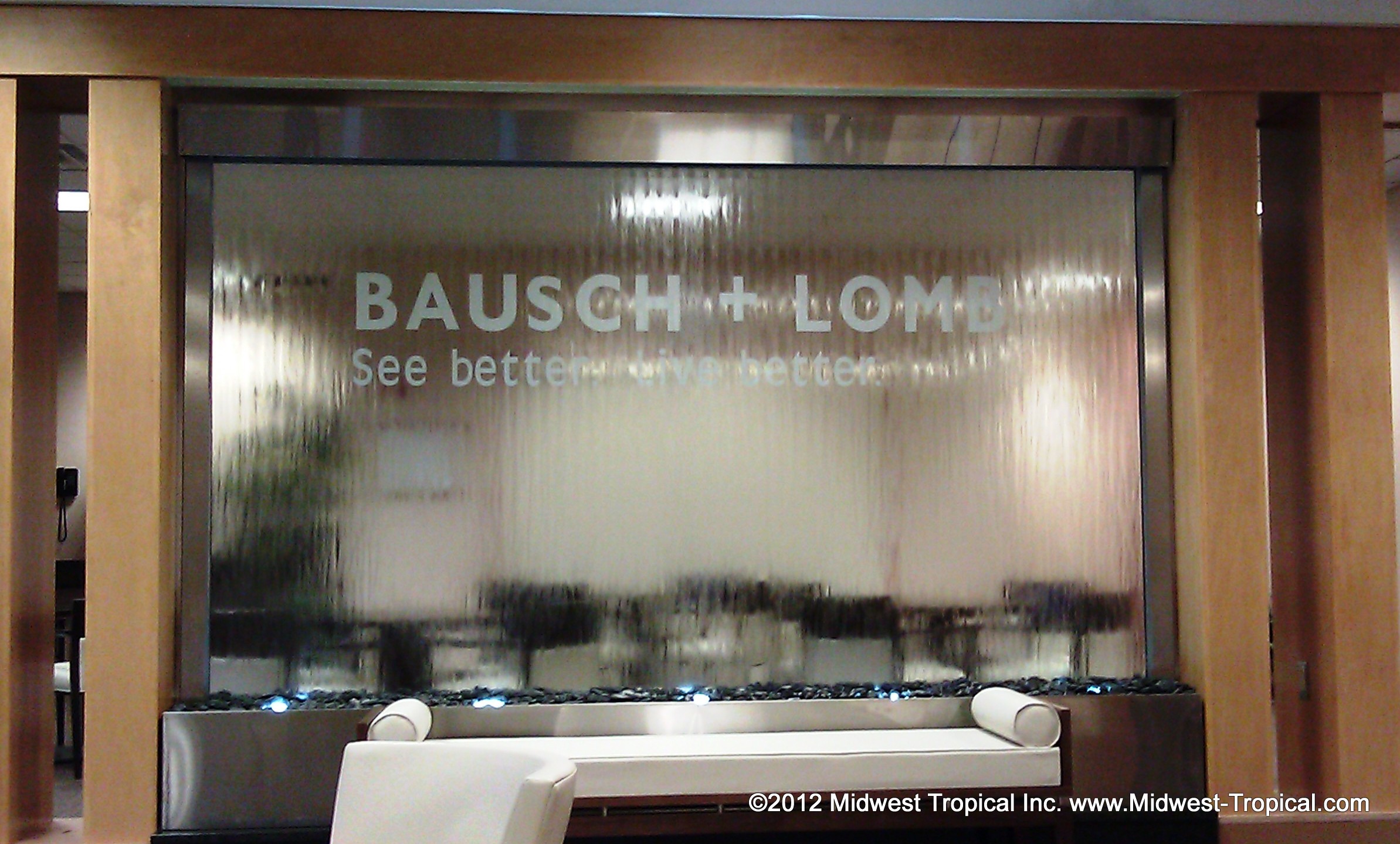 Bausch and Lomb 1