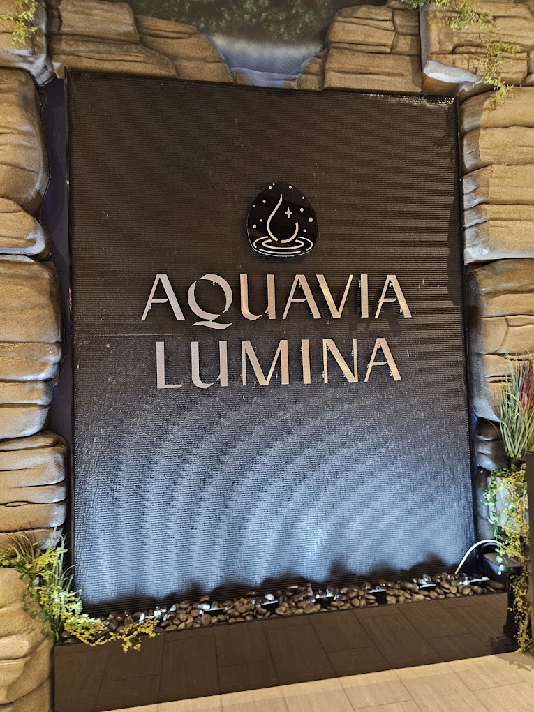 Black Scored Acrylic Water Wall for Aquavia Lumina at Wilderness Resort in Wisconsin Dells