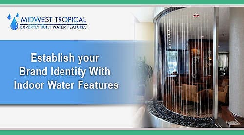 Indoor Water Features: Elevating Brand Identity In Midwest