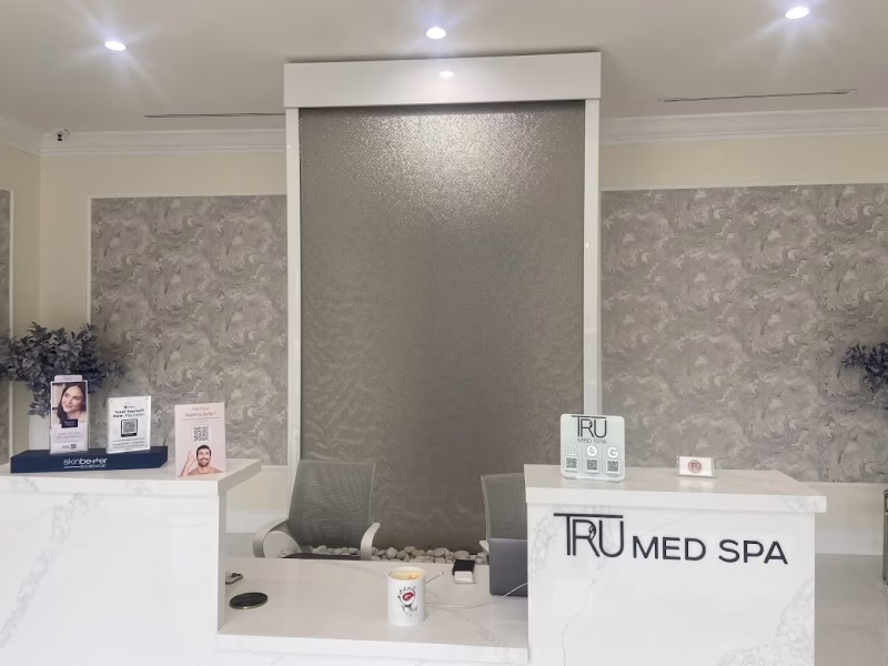 Mesh Water Wall with White Stainless Steel Frame at Tru Med Spa in Burbank, California 2