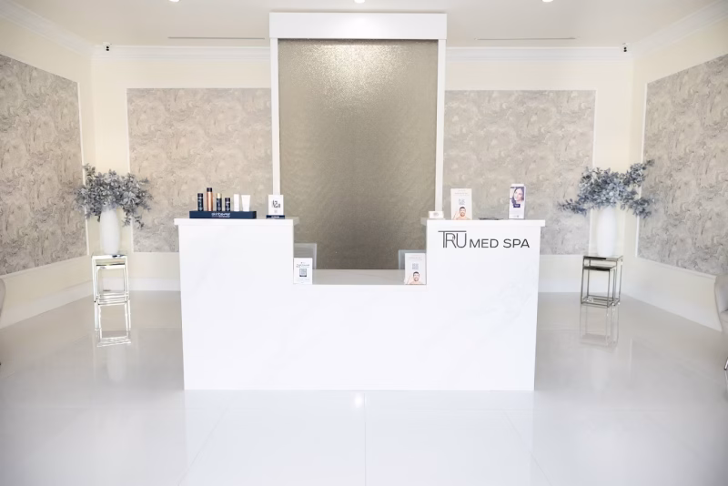 Mesh Water Wall with White Stainless Steel Frame at Tru Med Spa in Burbank, California 3