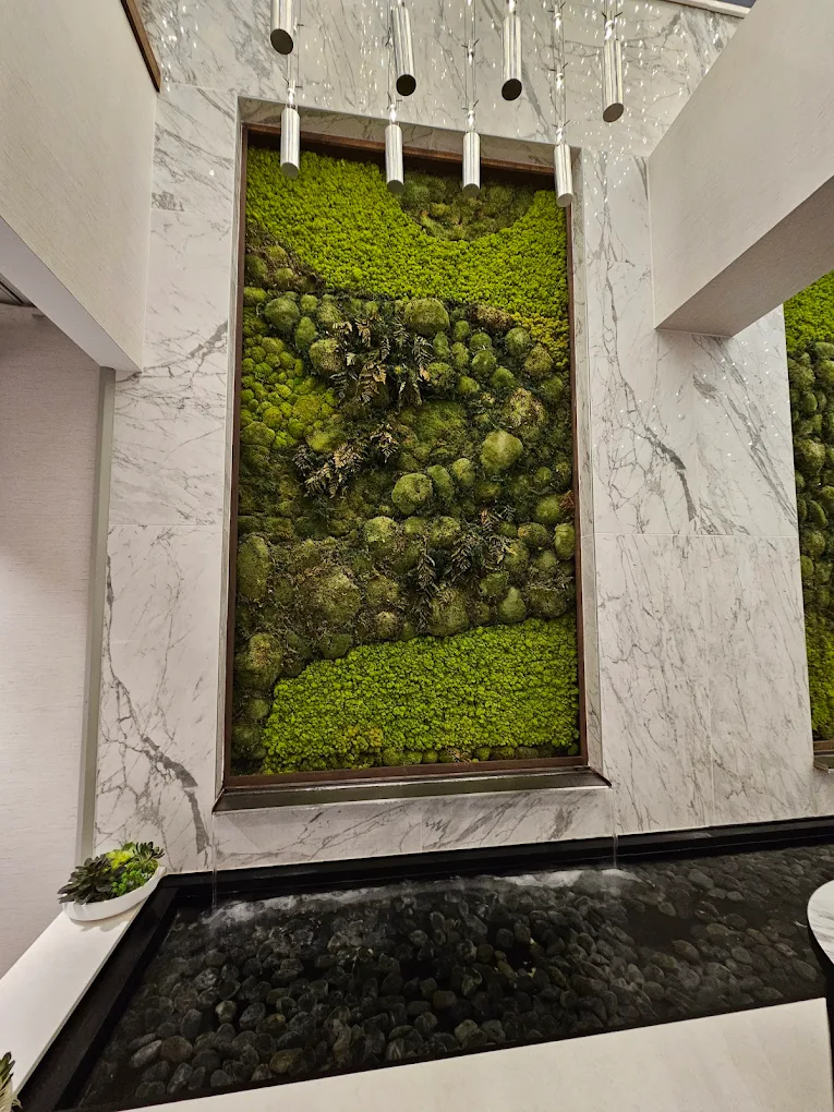 Weir Overflowing into Reflection Pool at Embassy Suites Knoxville Downtown 4