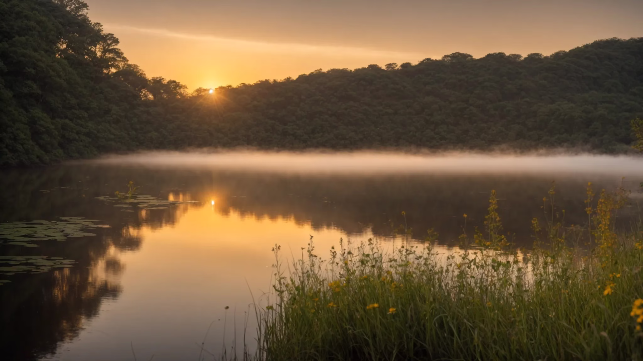 Experience Serenity With Fountain Tall Water Displays 3 a tranquil sunrise casts a golden glow over a misty lake, where vibrant wildflowers bloom along the serene shoreline, reflecting the peaceful harmony of nature.