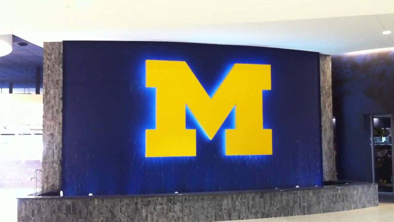 Video Lobby Water Feature-Custom by Midwest Tropical Video Lobby Water Feature-Custom by Midwest Tropical